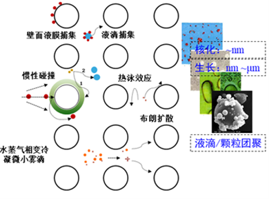 碳捕集过程二次污染物控制设备